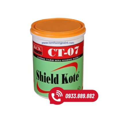 CHỐNG THẤM MÀU KHÁNG NƯỚC SHIELD KOTE CT07